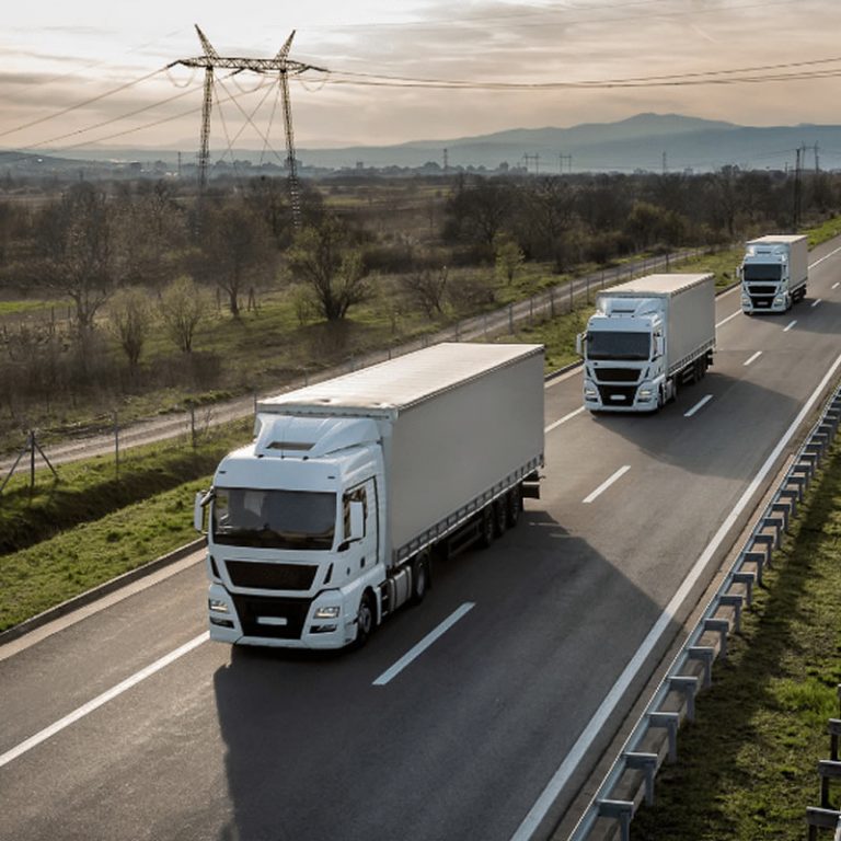 Read more about the article ROAD TRANSPORTATION